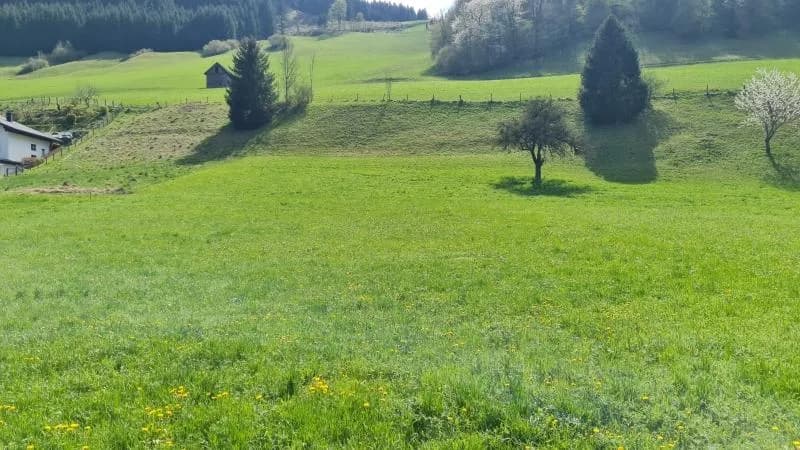 Grundstück kaufen in Steyr-Land – 1 192 m², € 149.000 – Bild 2 von 5