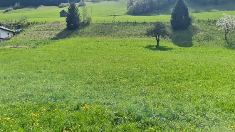 Grundstück kaufen in Steyr-Land – 1 192 m², € 149.000 – Bild 5 von 5