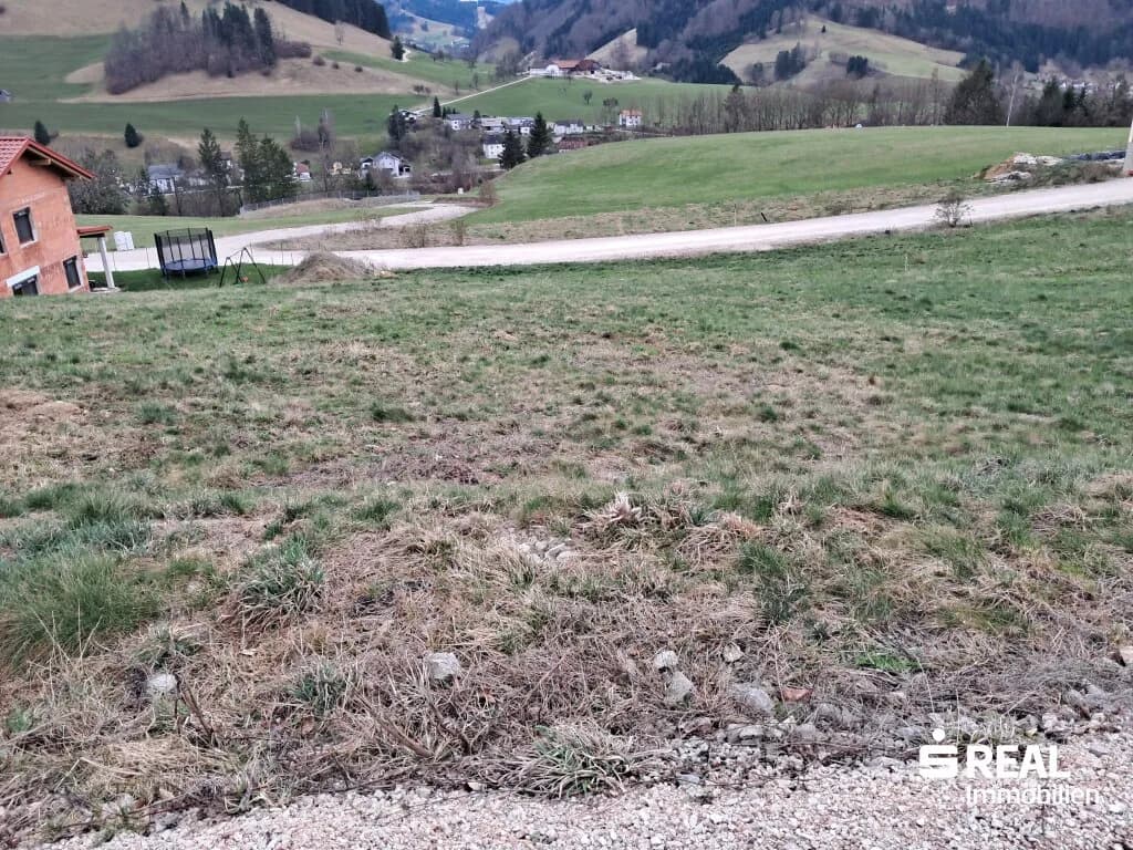 Grundstück kaufen in Steyr-Land – 701 m², € 89.000 – Bild 4 von 5