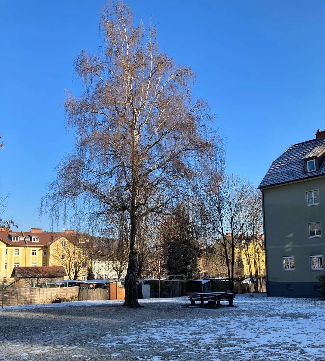2-Zimmer-Wohnung mieten in Leoben – 36,62 m², € 277 – Bild 2 von 8