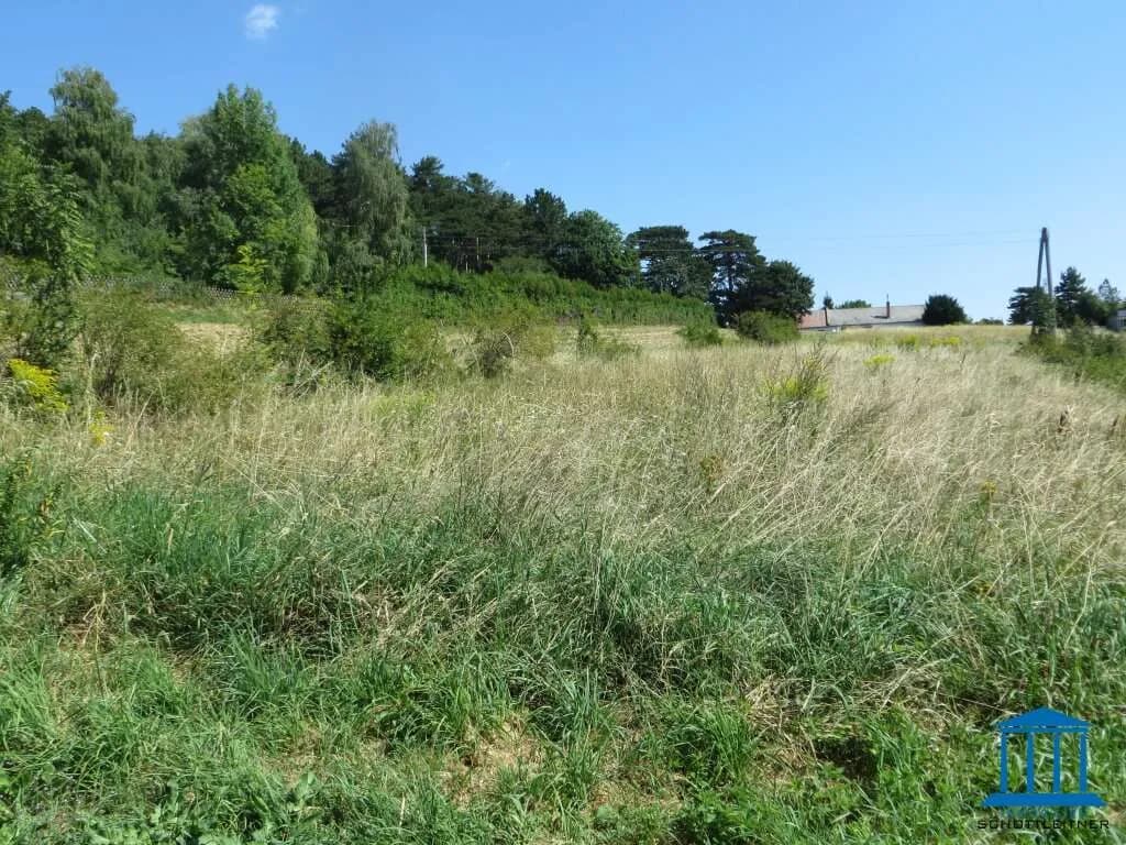 Grundstück kaufen in Neunkirchen – 743 m², € 133.740