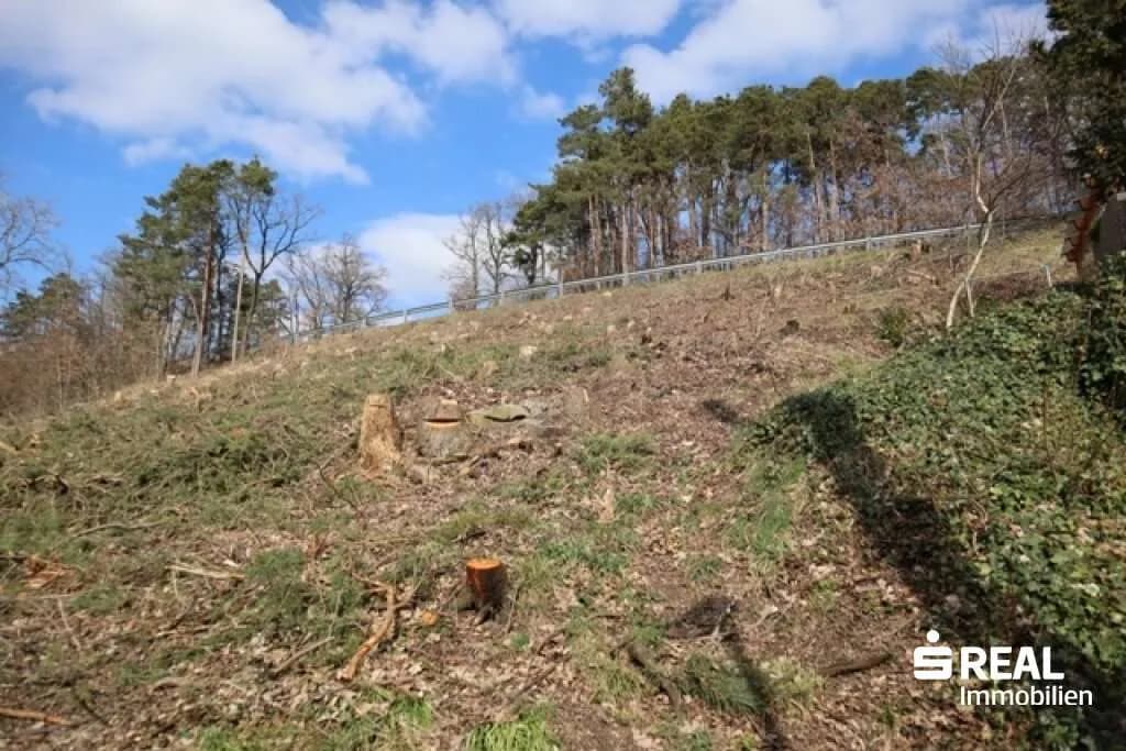 Grundstück kaufen in Urfahr-Umgebung – 654 m², € 165.000 – Bild 3 von 6