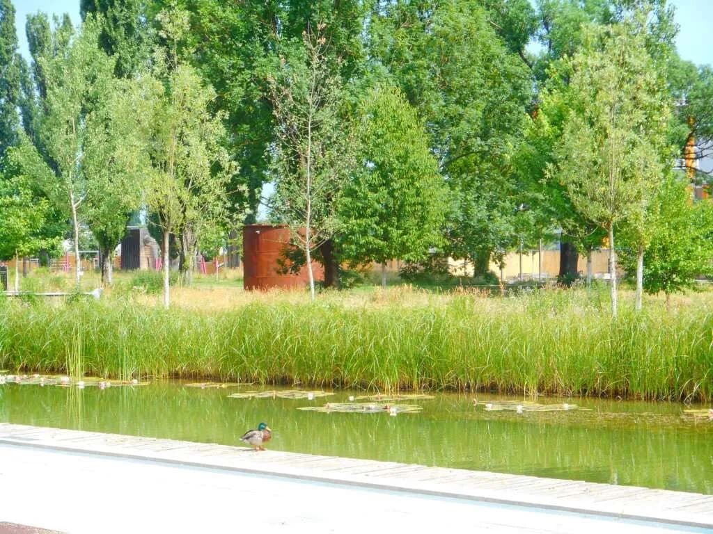 Gewerbeimmobilie mieten in Graz – 137 m² – Bild 8 von 12
