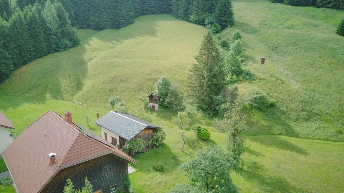 10-Zimmer-Haus mieten in Vöcklabruck – 250 m², € 2.900 – Bild 7 von 31