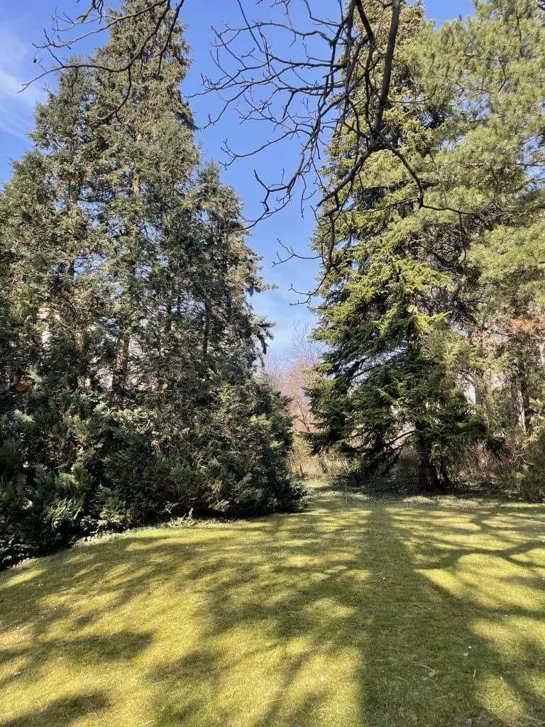 Grundstück kaufen in Wien – 2 200 m² – Bild 2 von 4