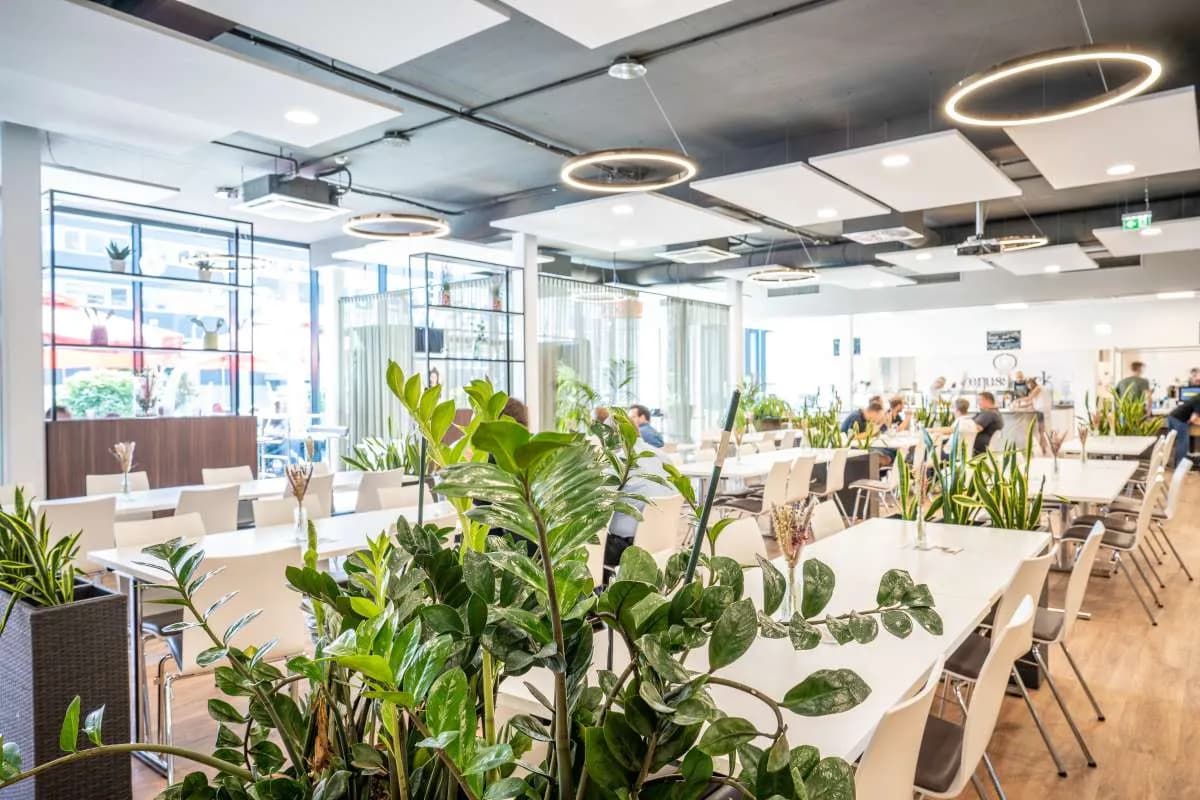 Gewerbeimmobilie mieten in Graz-Umgebung – 1 000 m², € 15 – Bild 3 von 11