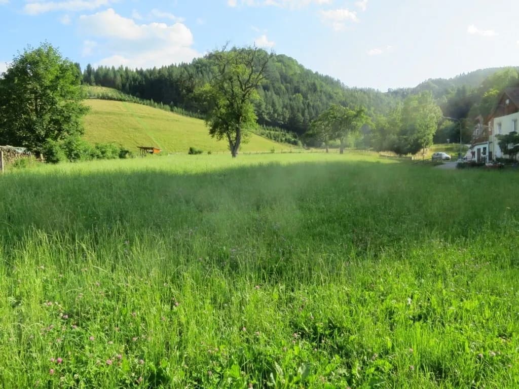 Immobilie kaufen in Bruck-Mürzzuschlag – 6 934 m², € 198.000 – Bild 18 von 20