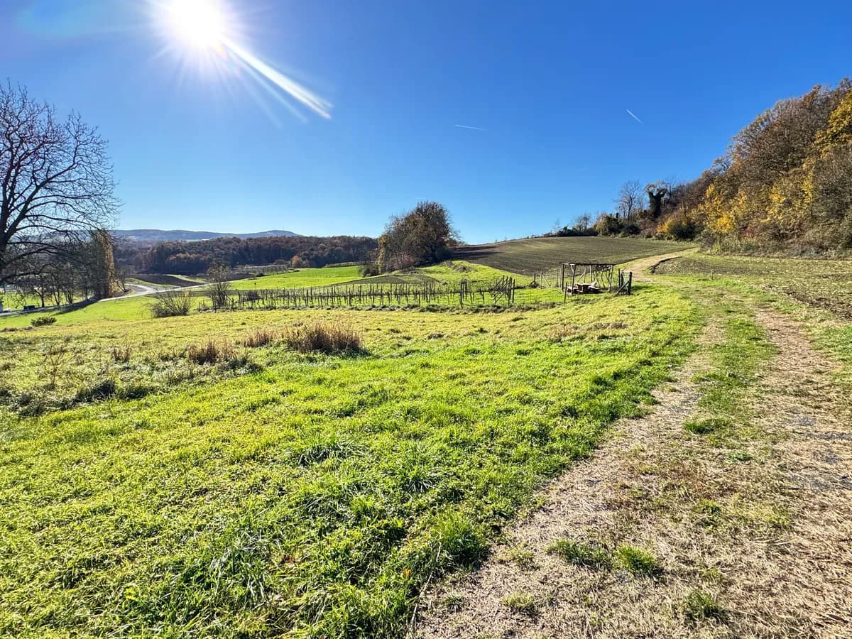 5-Zimmer-Haus kaufen in Südoststeiermark – 1 229 m² – Bild 4 von 39