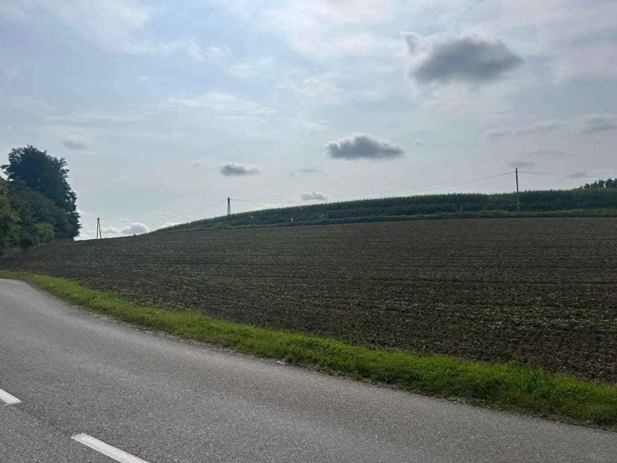 Grundstück kaufen in Wels-Land – 5 717 m² – Bild 3 von 5