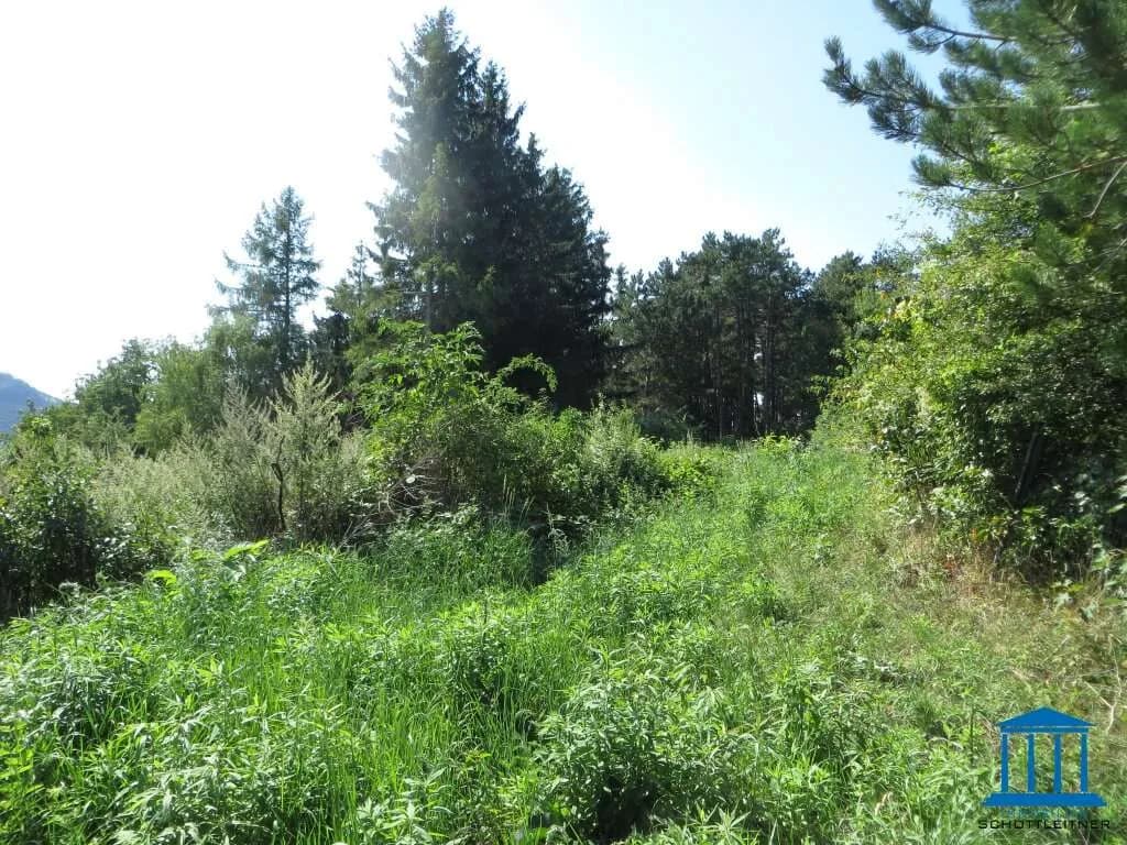 Grundstück kaufen in Wiener Neustadt Land – 1 572 m², € 175.000
