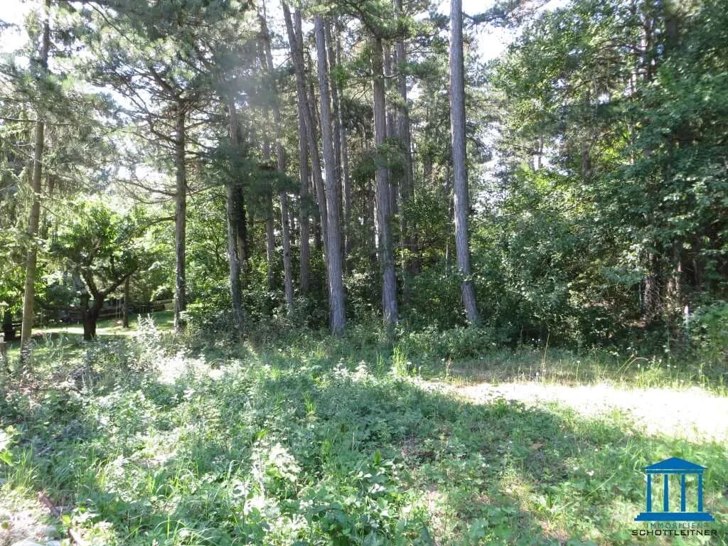 Grundstück kaufen in Wiener Neustadt Land – 1 572 m², € 175.000 – Bild 2 von 3