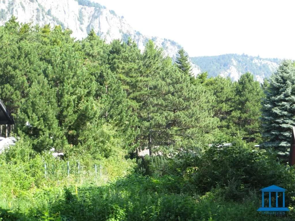 Grundstück kaufen in Wiener Neustadt Land – 1 572 m², € 175.000 – Bild 3 von 3