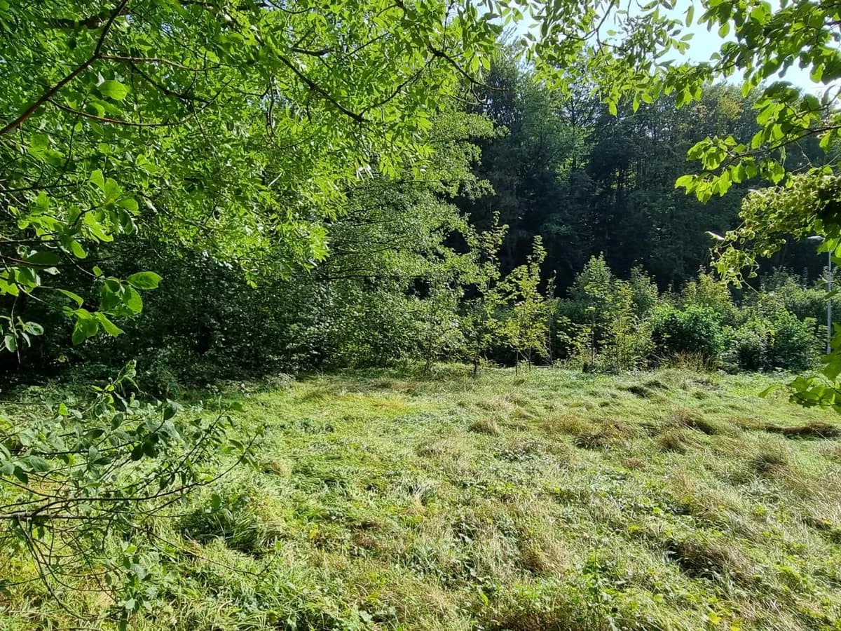 Grundstück kaufen in Sankt Pölten Land – 700 m², € 198.000 – Bild 3 von 8