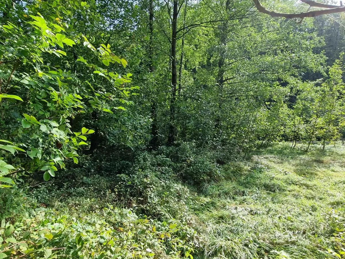 Grundstück kaufen in Sankt Pölten Land – 700 m², € 198.000 – Bild 7 von 8