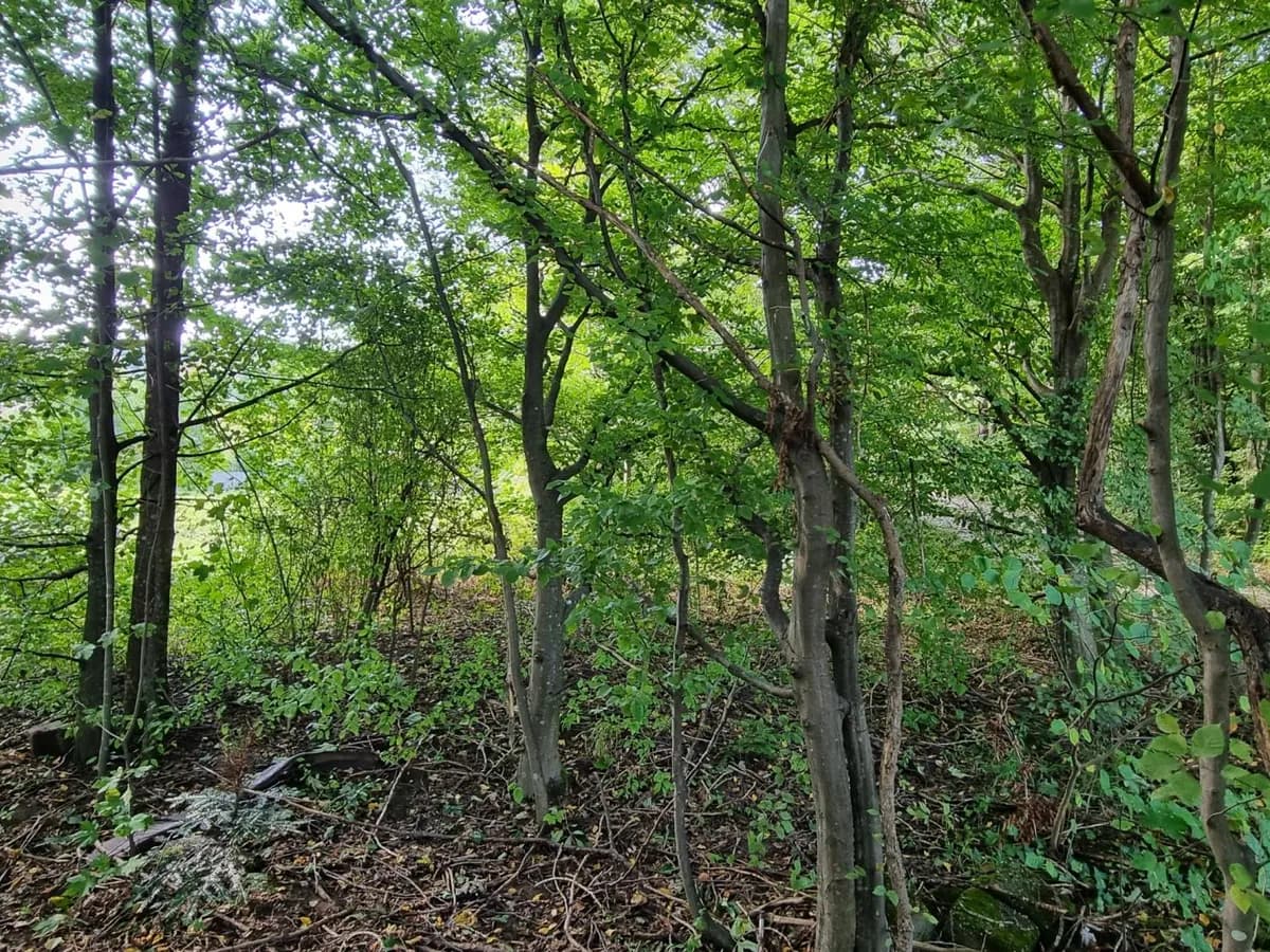 Grundstück kaufen in Sankt Pölten Land – 700 m², € 198.000 – Bild 8 von 8