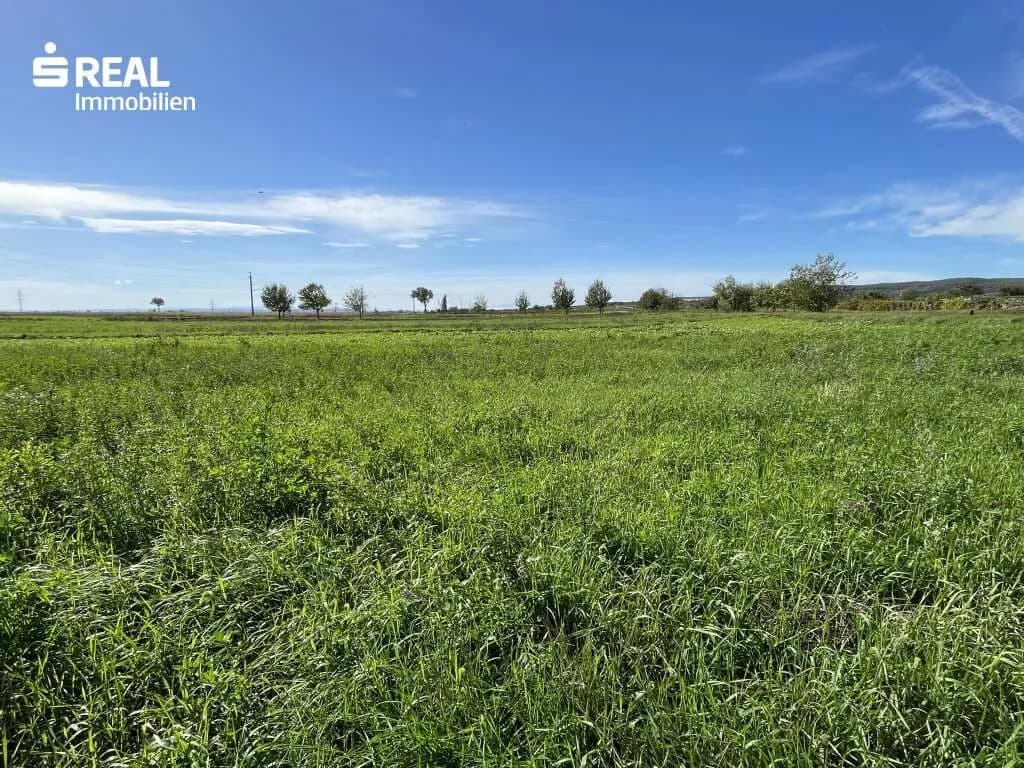 Grundstück kaufen in Neusiedl am See – 1 201 m², € 399.000