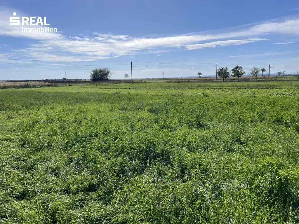 Grundstück kaufen in Neusiedl am See – 1 201 m², € 399.000 – Bild 2 von 3