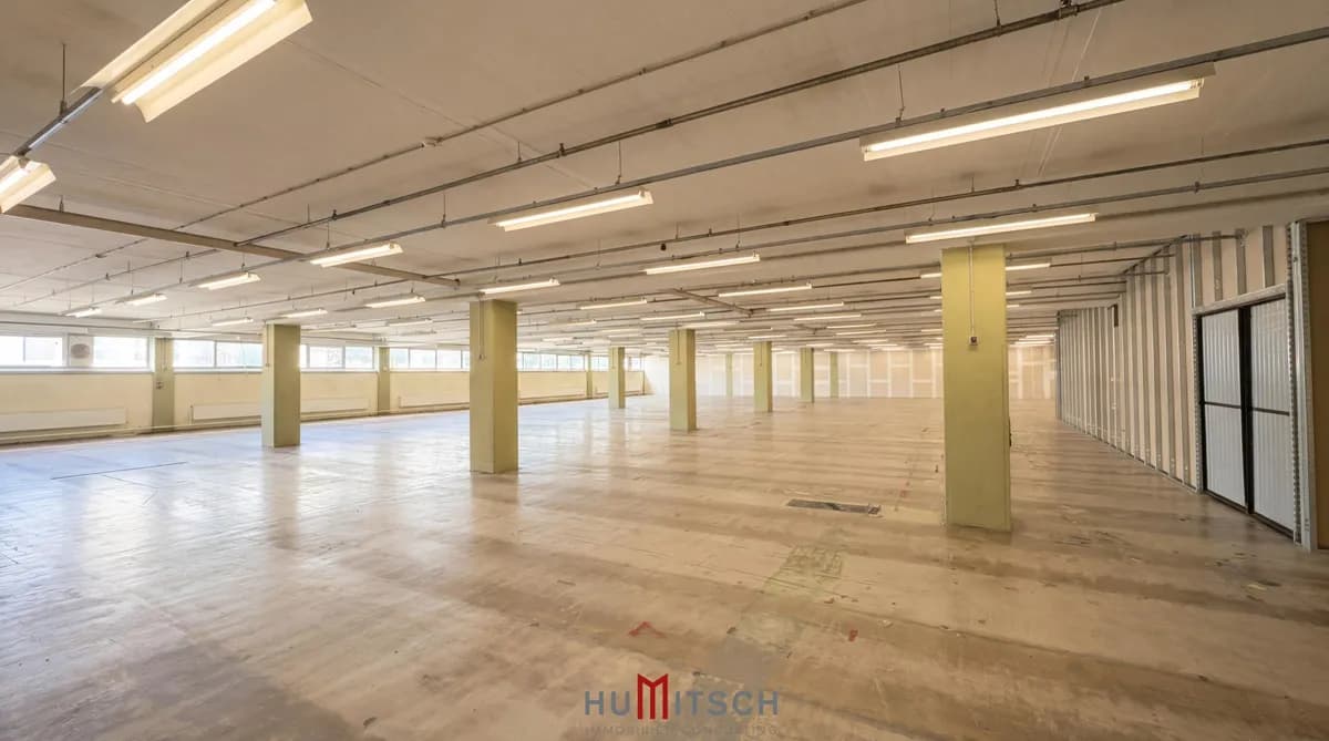 Gewerbeimmobilie mieten in Graz – 200 m² – Bild 2 von 6