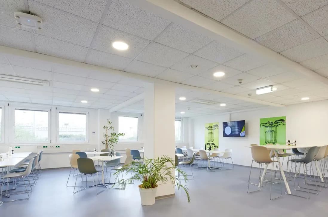 Gewerbeimmobilie mieten in Wien – 747 m², € 11 – Bild 4 von 5