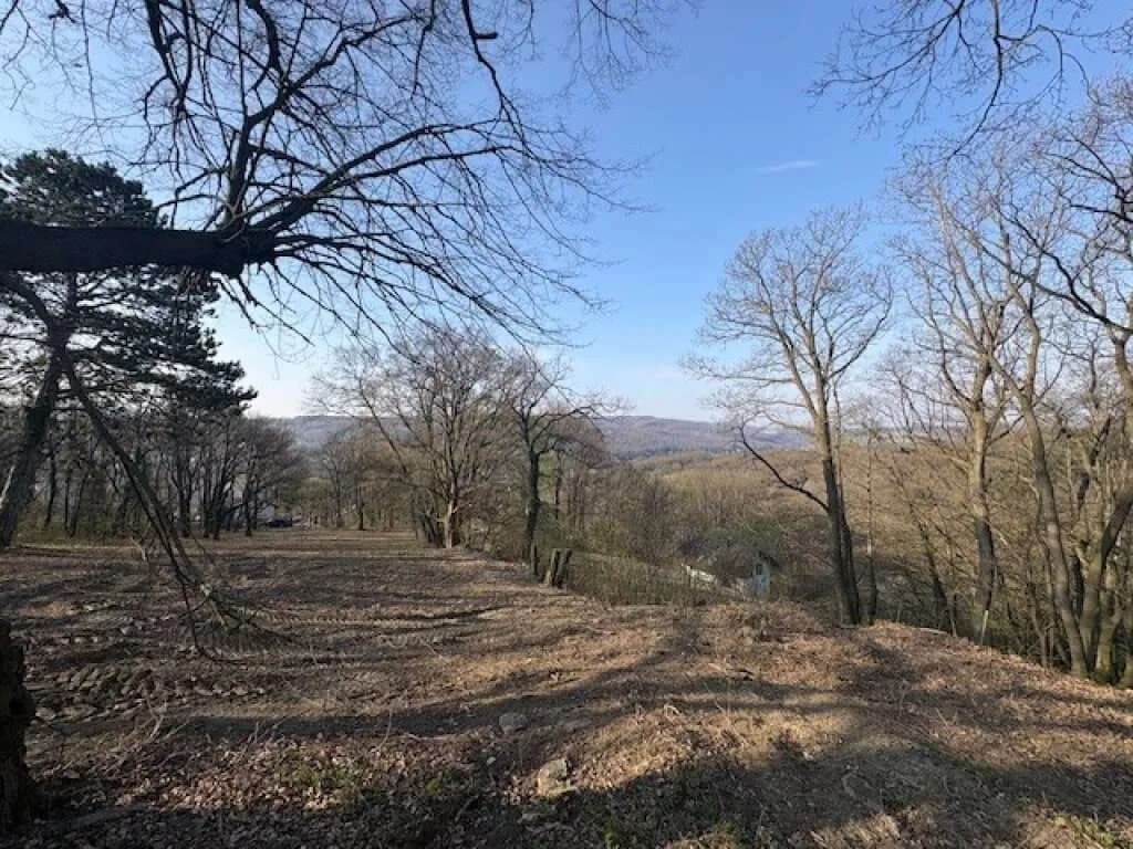 Grundstück kaufen in Tulln – 3 631 m², € 2.530.000 – Bild 1 von 10
