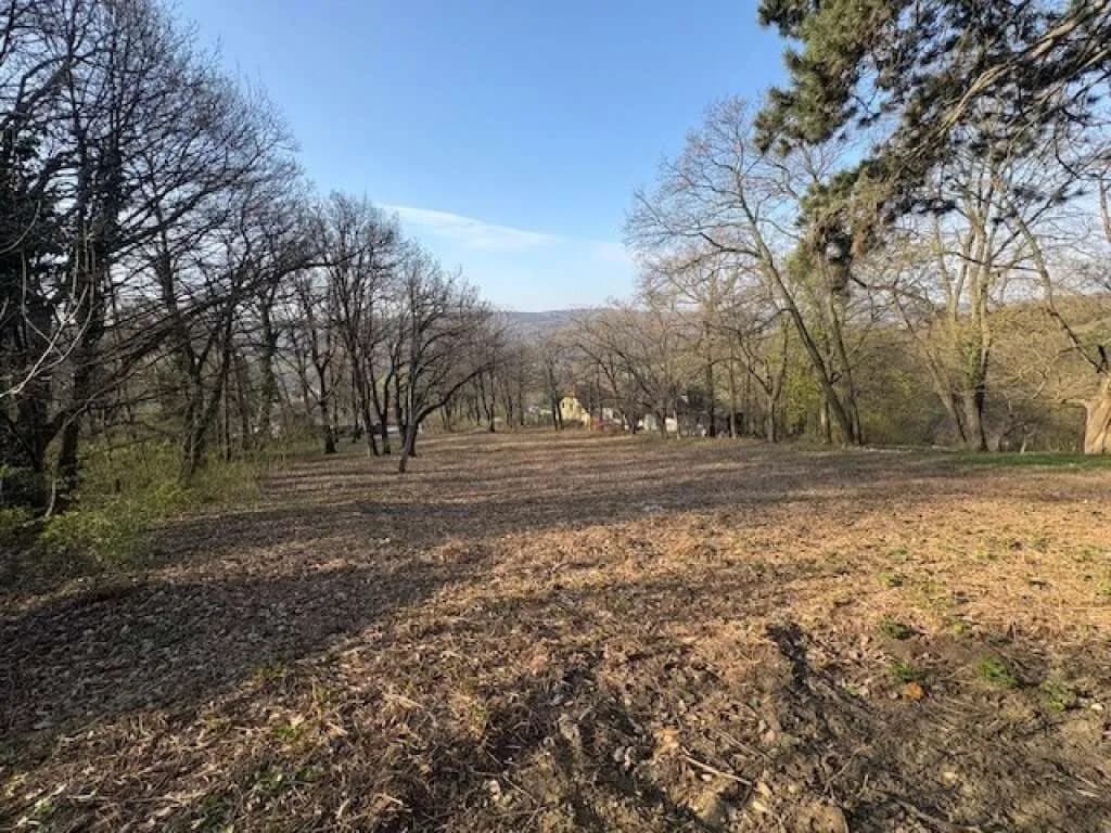 Grundstück kaufen in Tulln – 3 631 m², € 2.530.000 – Bild 2 von 10