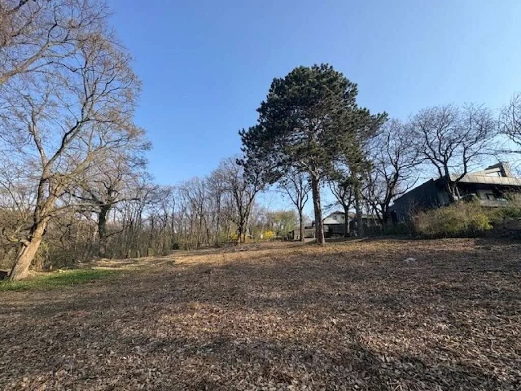 Grundstück kaufen in Tulln – 3 631 m², € 2.530.000 – Bild 4 von 10