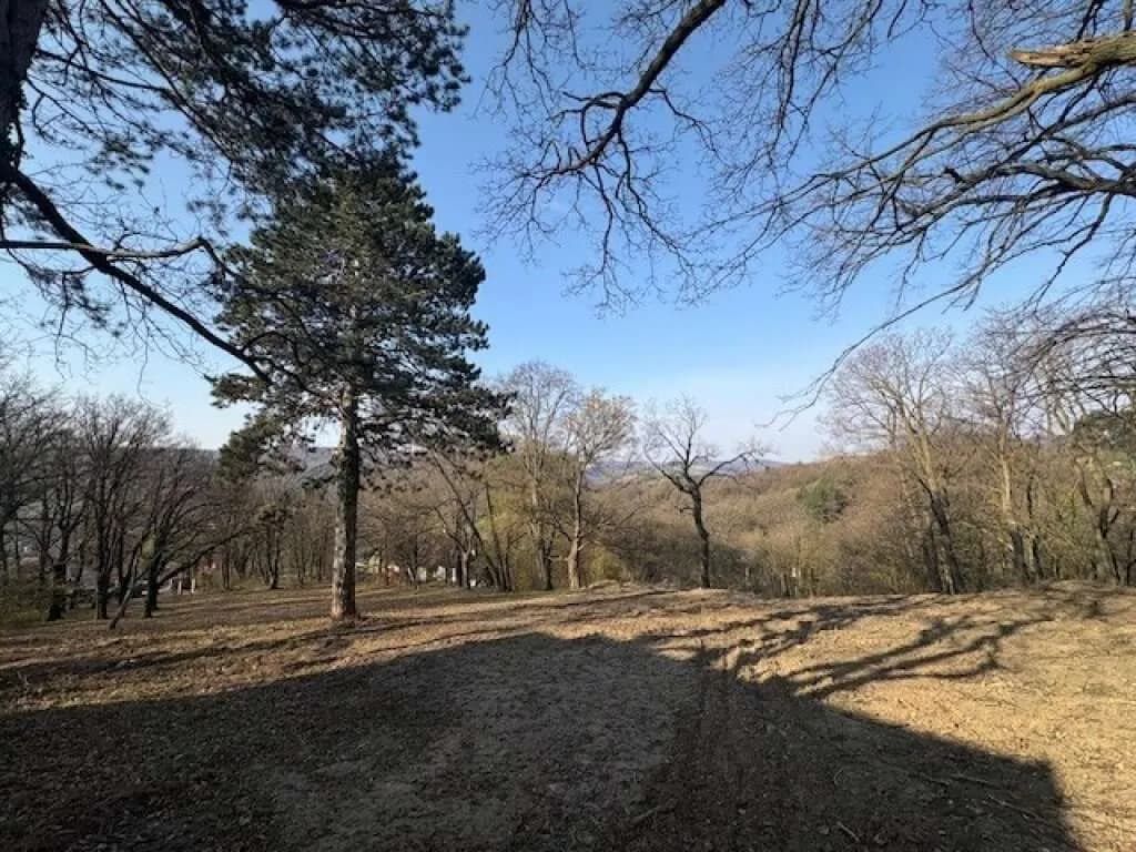 Grundstück kaufen in Tulln – 3 631 m², € 2.530.000 – Bild 5 von 10