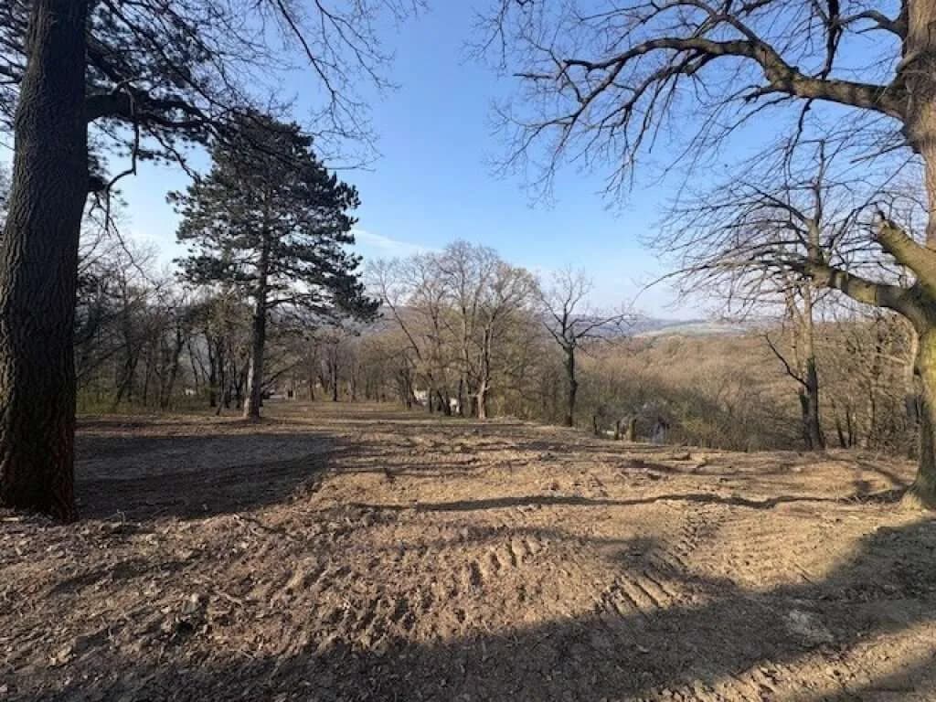 Grundstück kaufen in Tulln – 3 631 m², € 2.530.000 – Bild 6 von 10