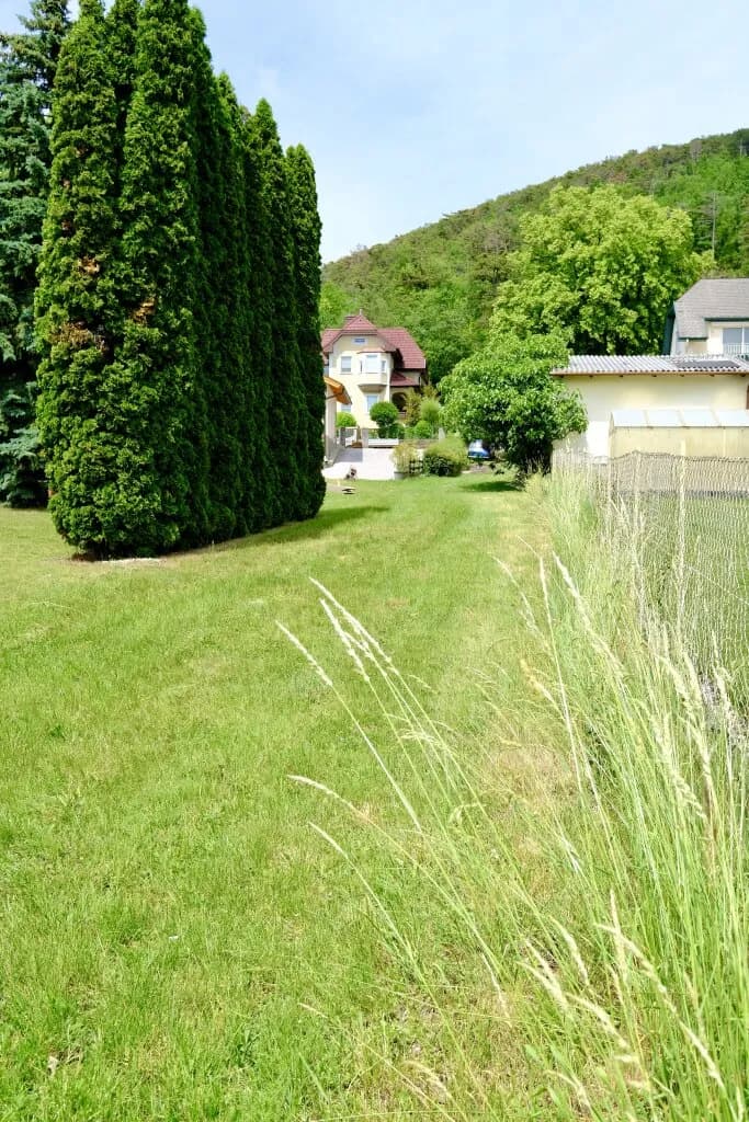 Grundstück kaufen in Wiener Neustadt Land – 2 772 m², € 409.000 – Bild 2 von 12