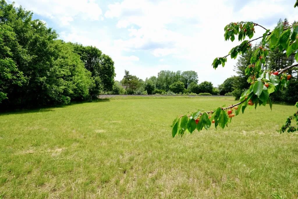 Grundstück kaufen in Wiener Neustadt Land – 2 772 m², € 409.000 – Bild 4 von 12