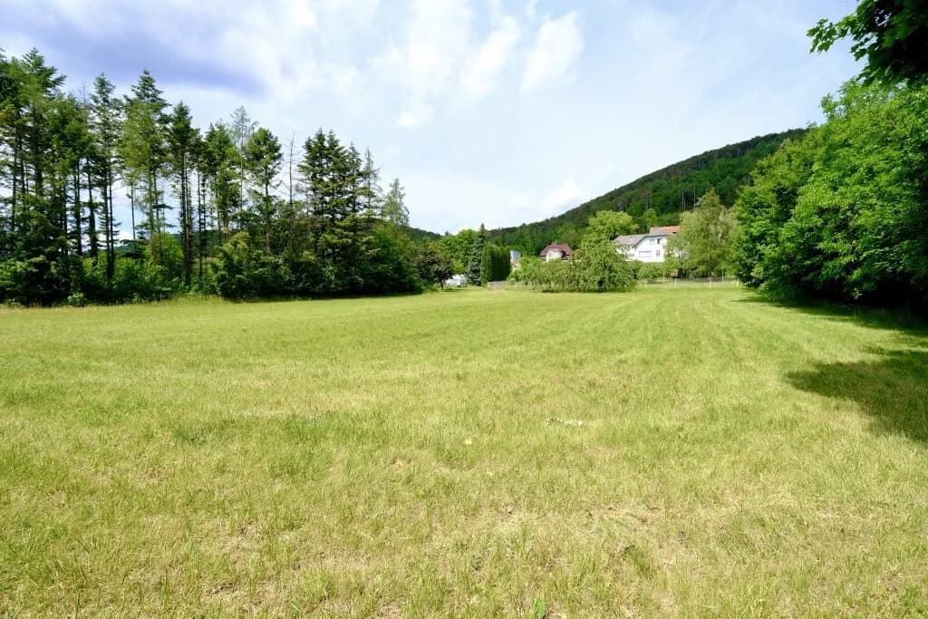 Grundstück kaufen in Wiener Neustadt Land – 2 772 m², € 409.000 – Bild 5 von 12