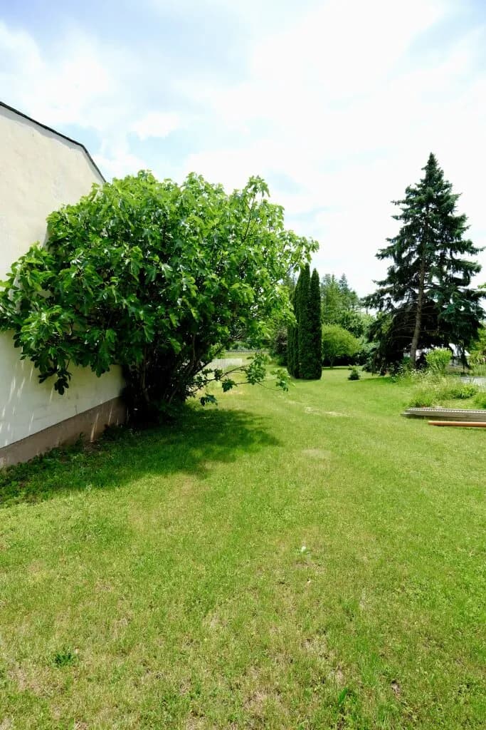 Grundstück kaufen in Wiener Neustadt Land – 2 772 m², € 409.000 – Bild 6 von 12