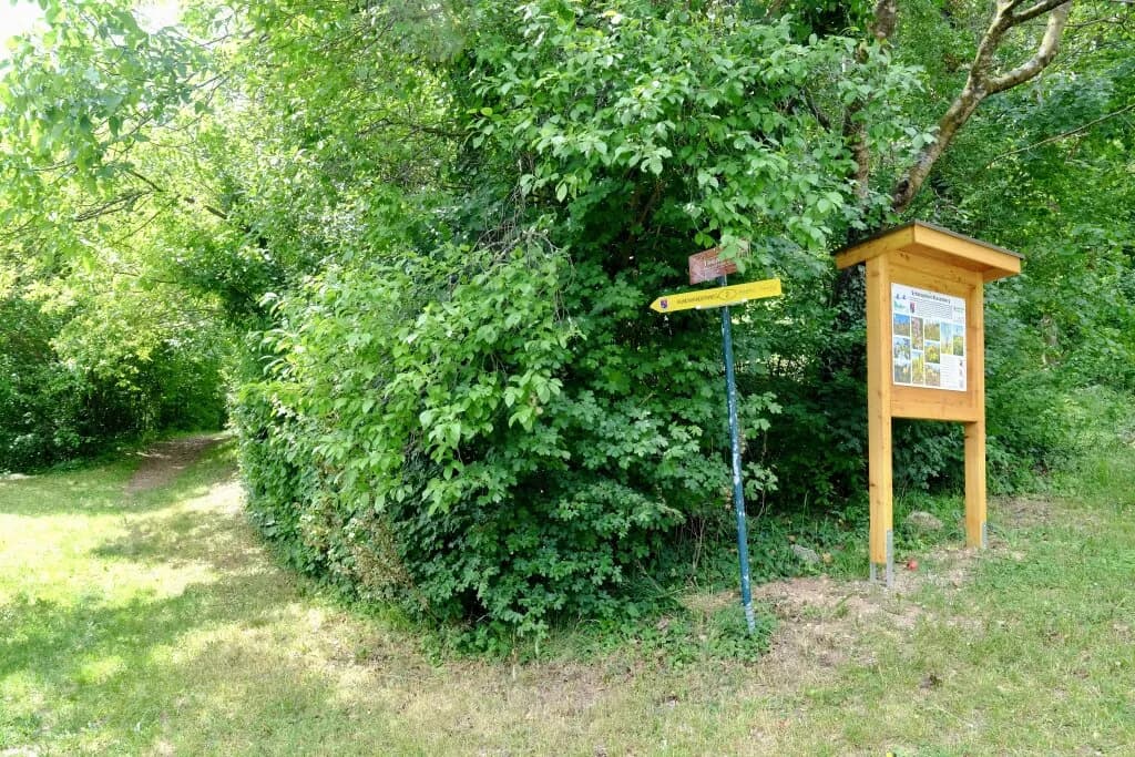Grundstück kaufen in Wiener Neustadt Land – 2 772 m², € 409.000 – Bild 8 von 12