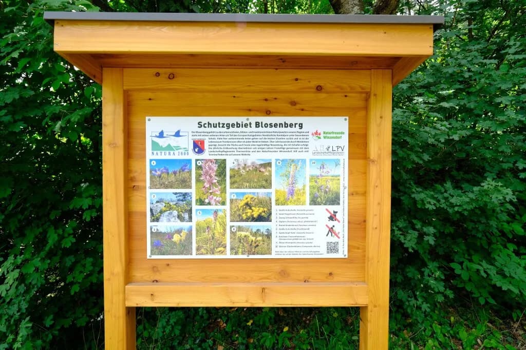 Grundstück kaufen in Wiener Neustadt Land – 2 772 m², € 409.000 – Bild 9 von 12