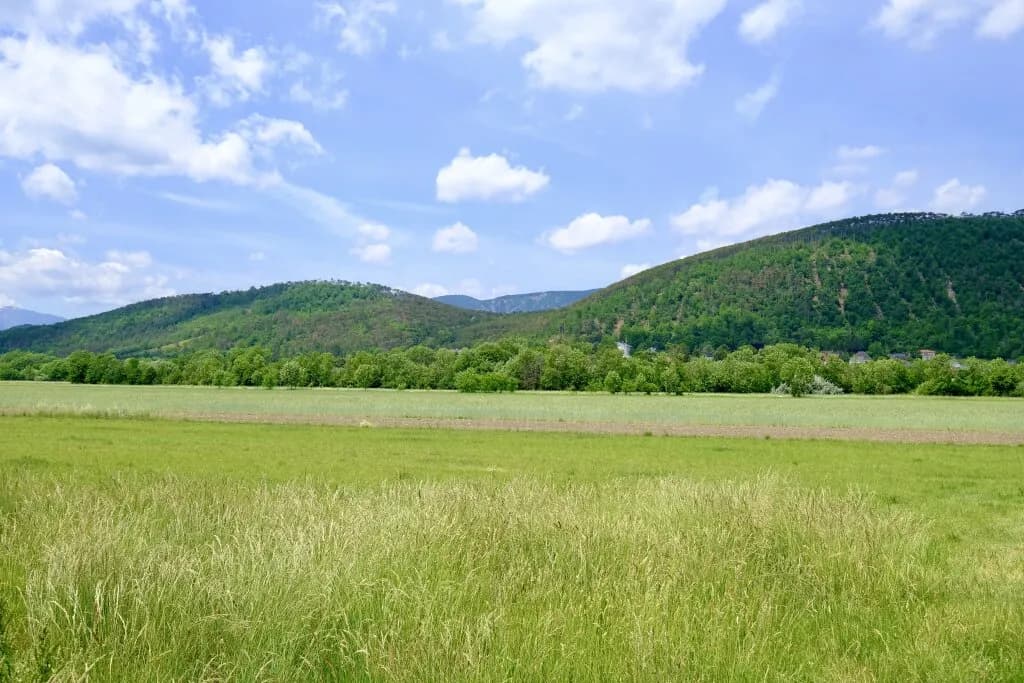 Grundstück kaufen in Wiener Neustadt Land – 2 772 m², € 409.000 – Bild 10 von 12