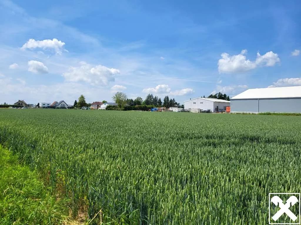 Immobilie mieten in Linz Land – 12 112 m² – Bild 3 von 4