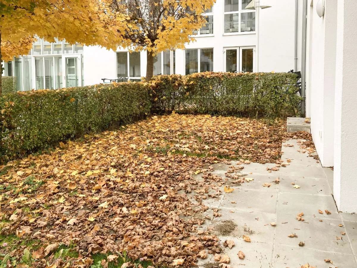 2-Zimmer-Wohnung mieten in Linz – 43,15 m², € 884 – Bild 2 von 36