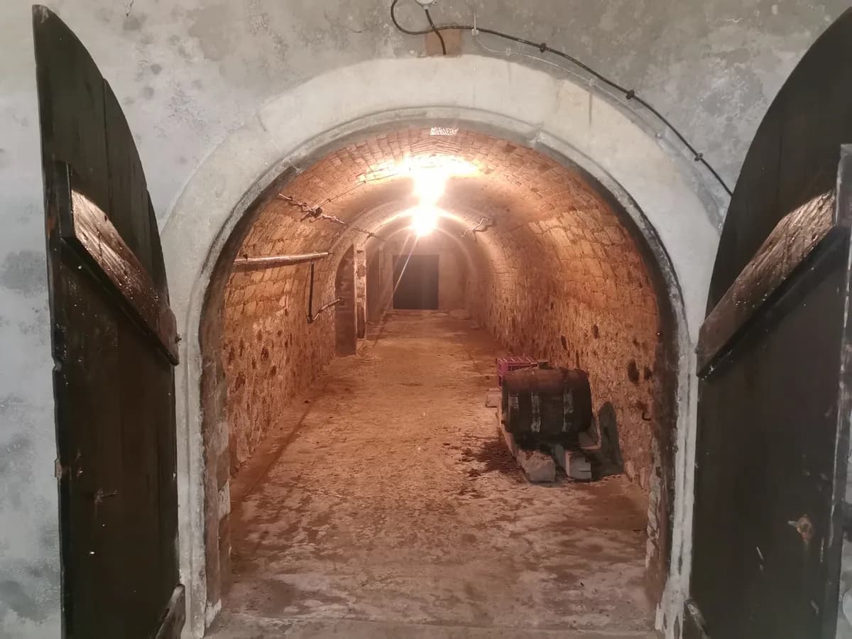 Gewerbeimmobilie kaufen in Hollabrunn – 2 700 m², € 753.000 – Bild 30 von 31