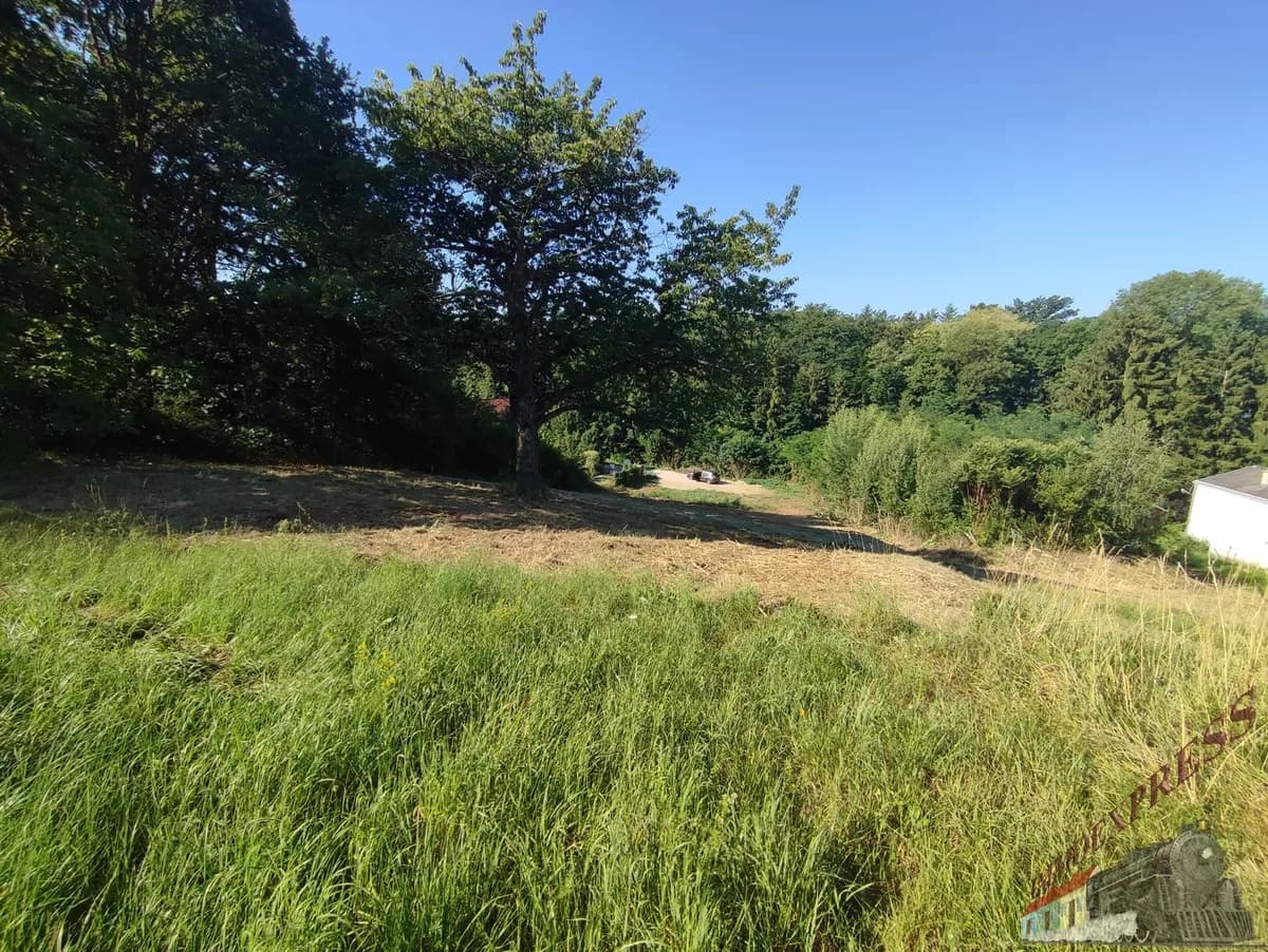 Grundstück kaufen in Wiener Neustadt Land – 3 200 m², € 285.000 – Bild 3 von 4
