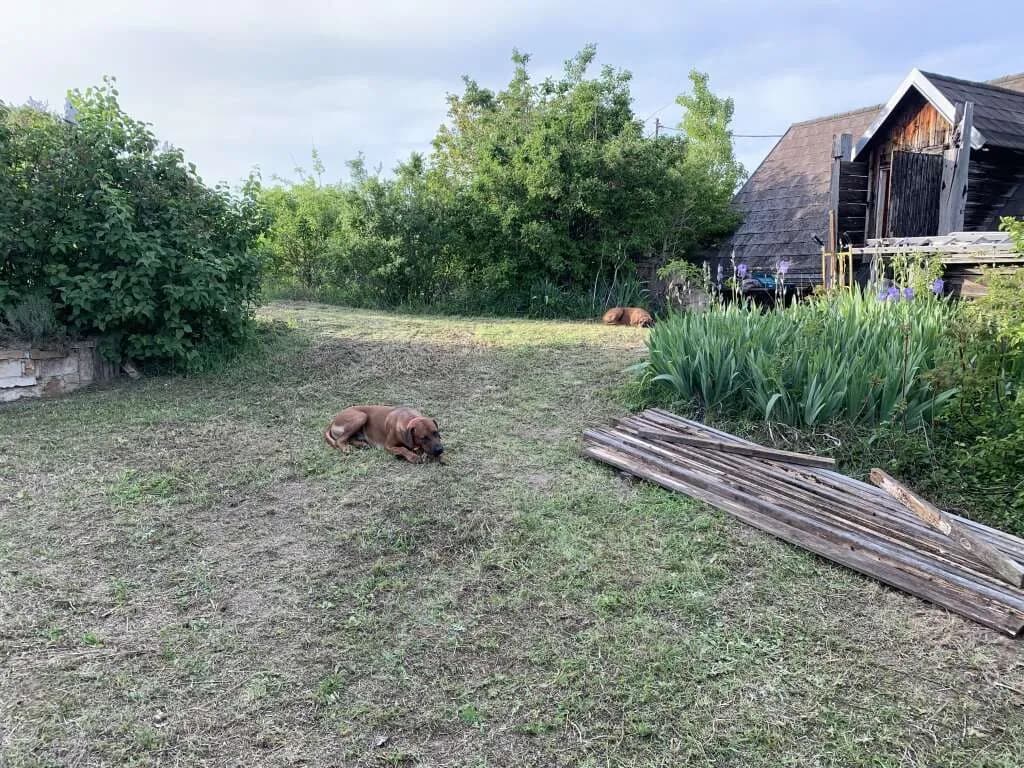 Immobilie kaufen in Gänserndorf – 100 m², € 75.000 – Bild 5 von 17