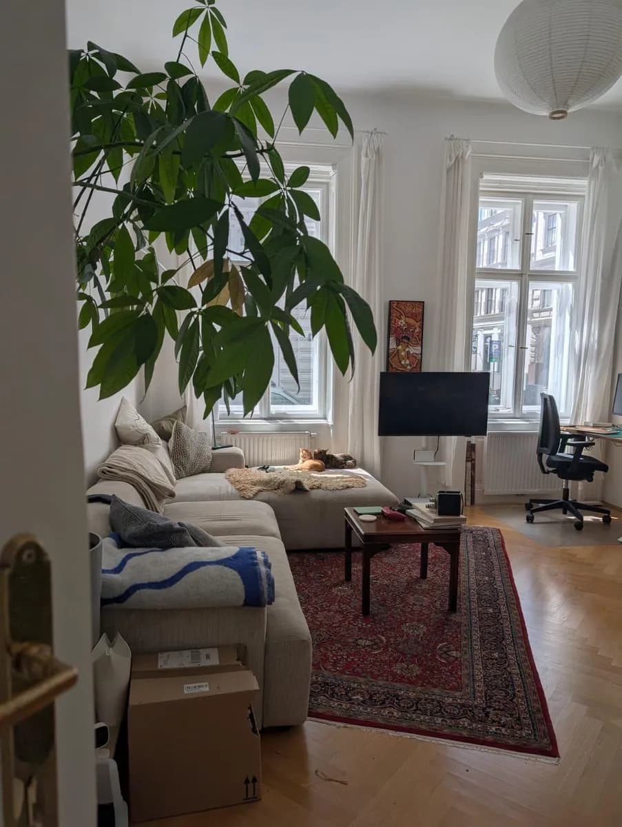 2-Zimmer-Wohnung mieten in Wien – 80 m², € 1.300