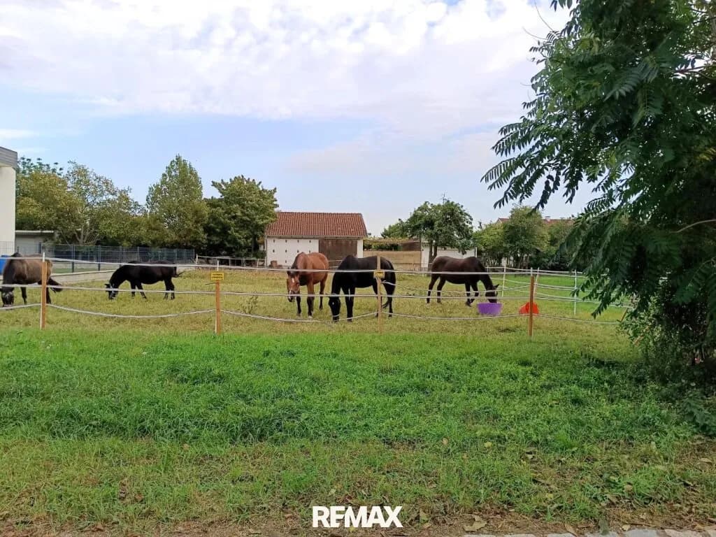 Grundstück kaufen in Neusiedl am See – 621 m², € 213.850 – Bild 4 von 4
