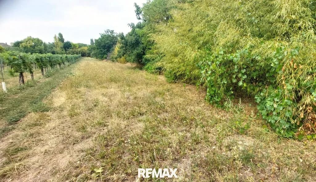 Grundstück kaufen in Neusiedl am See – 800 m², € 260.000
