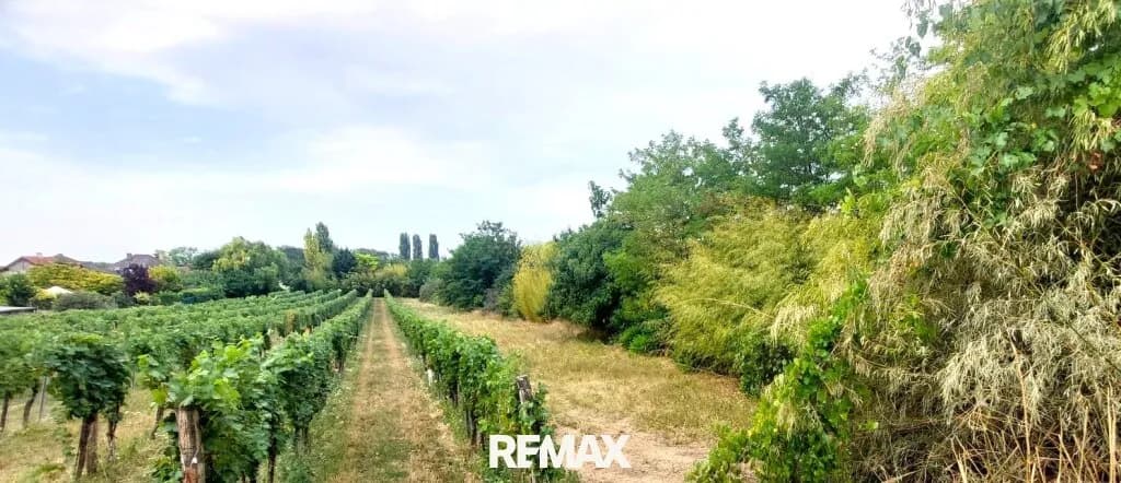 Grundstück kaufen in Neusiedl am See – 800 m², € 260.000 – Bild 2 von 3