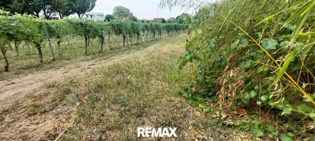 Grundstück kaufen in Neusiedl am See – 800 m², € 260.000 – Bild 3 von 3
