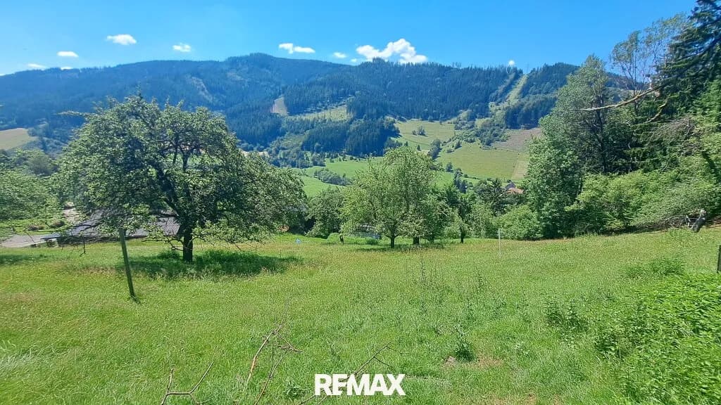 Grundstück kaufen in Bruck-Mürzzuschlag – 2 452 m², € 92.000 – Bild 1 von 11