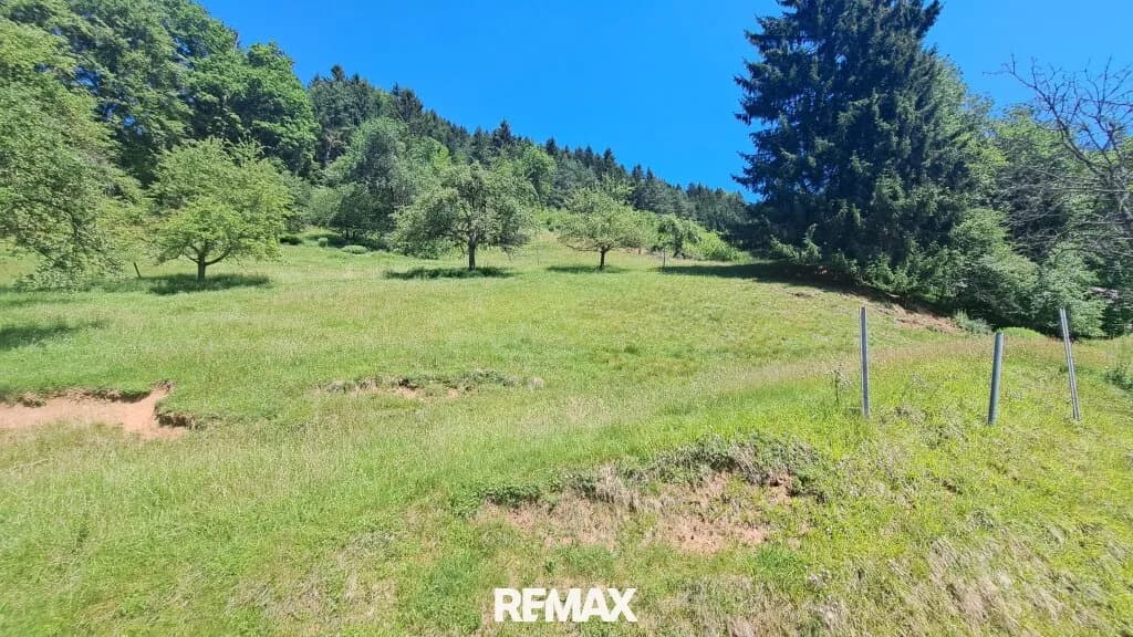 Grundstück kaufen in Bruck-Mürzzuschlag – 2 452 m², € 92.000 – Bild 5 von 11