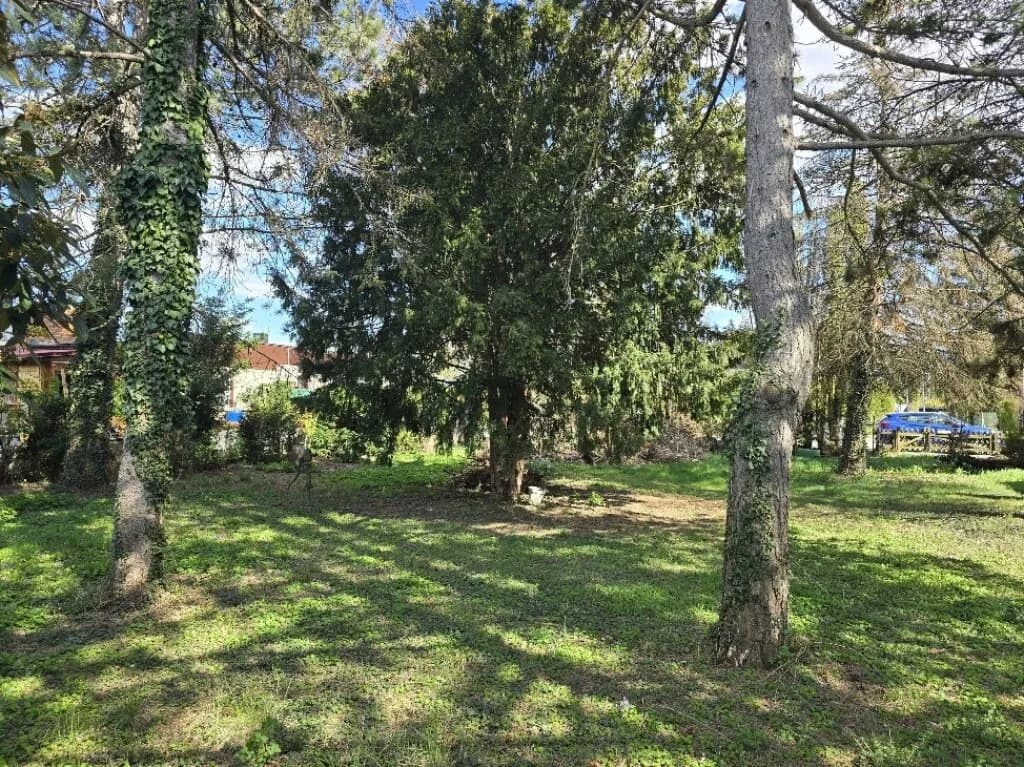 Grundstück kaufen in Gänserndorf – 637 m², € 349.000 – Bild 3 von 6