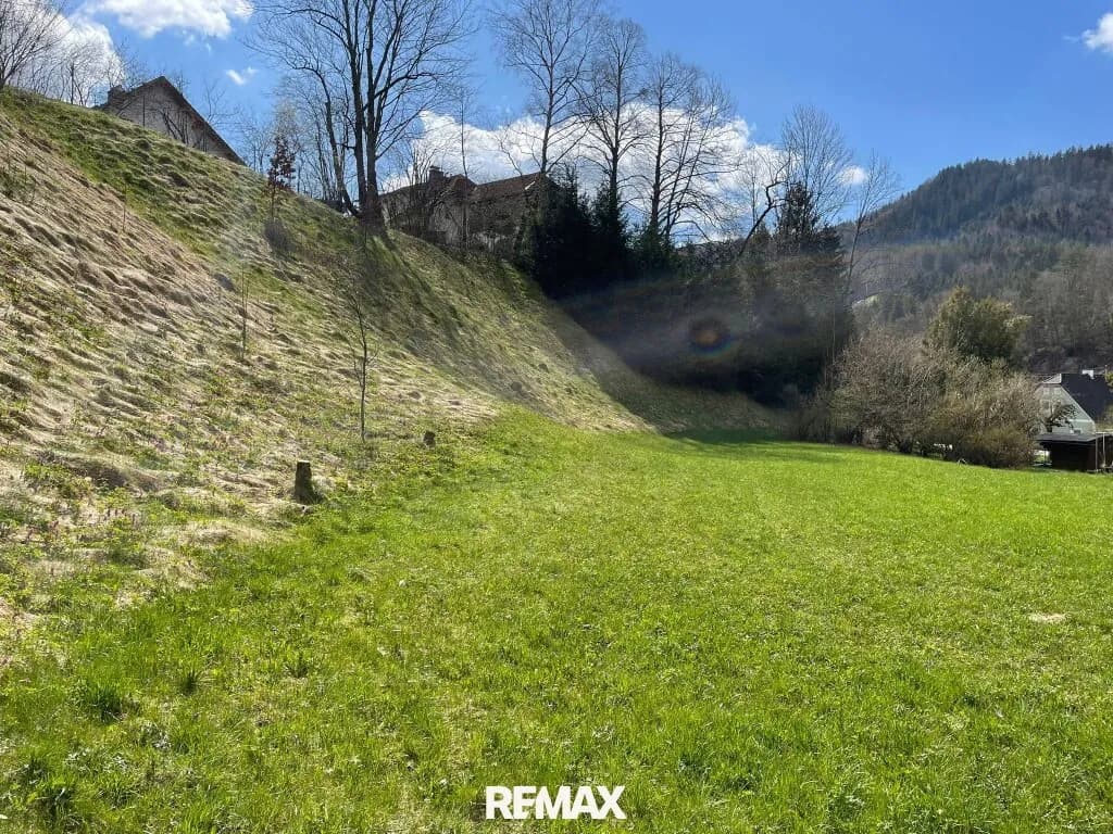 Immobilie kaufen in Steyr-Land – 1 981 m², € 150.000 – Bild 3 von 10