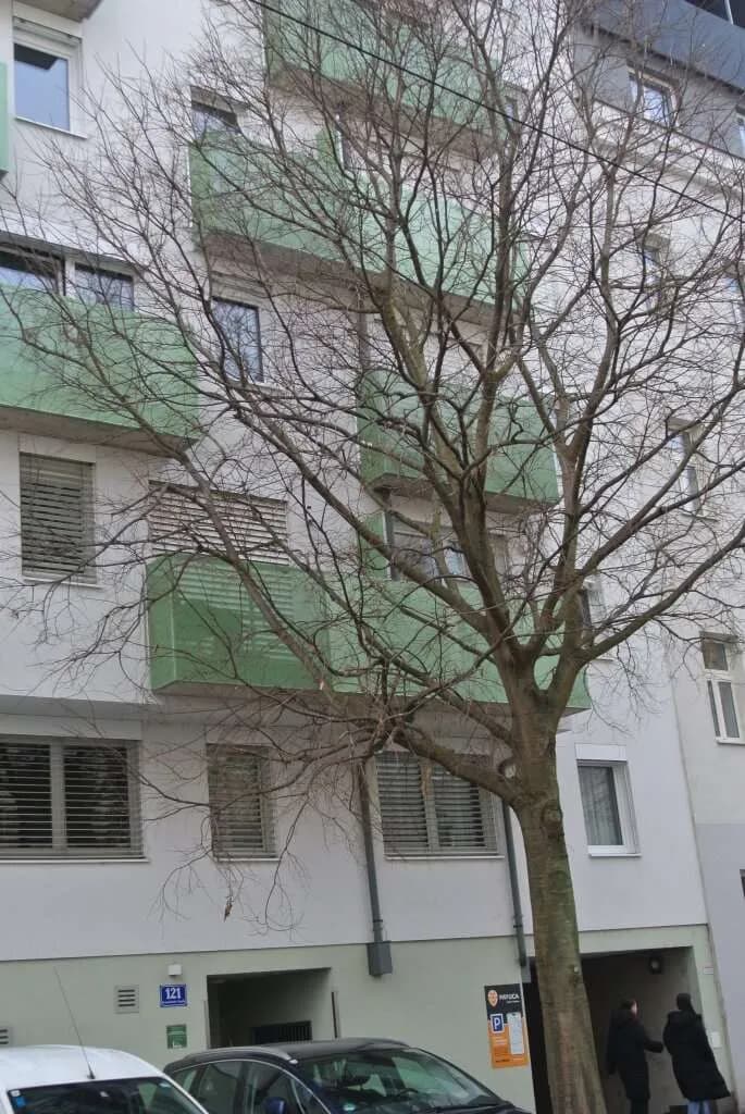 2-Zimmer-Wohnung kaufen in Wien – 50 m², € 272.000 – Bild 5 von 11